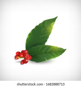 Vector illustration. Branch of Coffee tree with leaves and red coffee berries isolated on vignette background. Elements for web design or print.