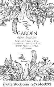 Ilustración vectorial de una rama de pepinos con hojas y flores en estilo grabado