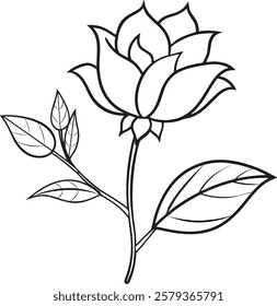 Vector Illustration of Branch Flower with Bud and Leaves