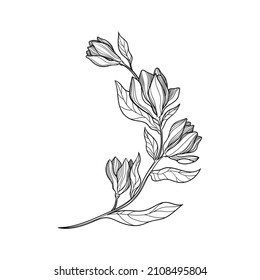 vector illustration branch flower line leaves garden