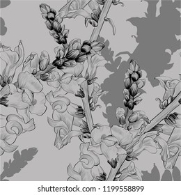 Vector illustration. A branch with flowers and buds. Seamless pattern.Antirrhinum. Medicinal, perfume and cosmetic plants. Wallpaper. Use printed materials, signs, posters, postcards, packaging.