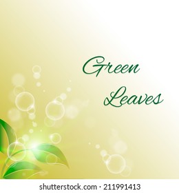 Vector illustration of branch with fresh green leaves