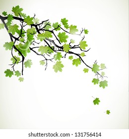 Vector Illustration of a Branch with Green Leafs