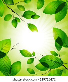 Vector illustration of branch with green leaves