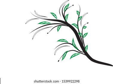 Vector illustration of a branch with green leaves on a white background.