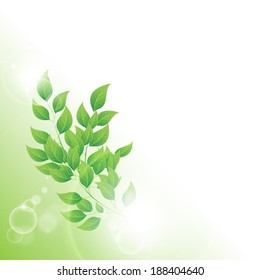 Vector illustration of Branch with green leaves