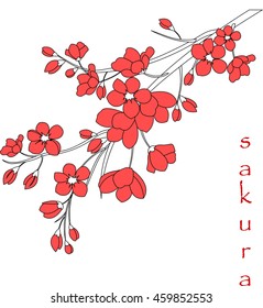 Vector illustration. Branch of Japanese cherry blossoms with beautiful flowers.