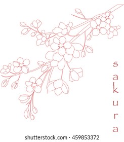 Vector illustration. Branch of Japanese cherry blossoms with beautiful flowers.Sakura