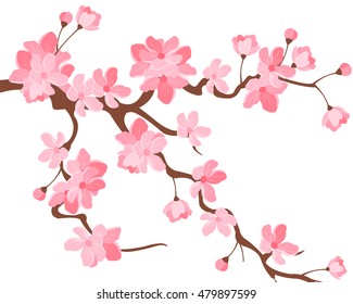 Vector illustration. Branch of Japanese cherry blossoms with beautiful flowers.Sakura. White background.