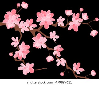 Vector illustration. Branch of Japanese cherry blossoms with beautiful flowers.Sakura. Black background.
