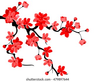 Vector illustration. Branch of Japanese cherry blossoms with beautiful flowers.Sakura. White background.