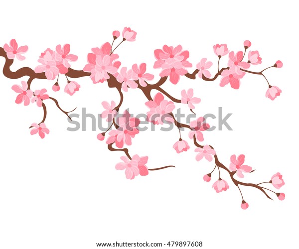 ベクターイラスト 桜の枝に美しい花 桜 白い背景 のベクター画像素材 ロイヤリティフリー