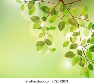 Vector Illustration Branch with leaves