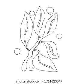 Vector illustration branch with leaves in doodle style. Hand drawn vector illustration in black ink on a white background. Coloring book for children and adults. Eps 8.