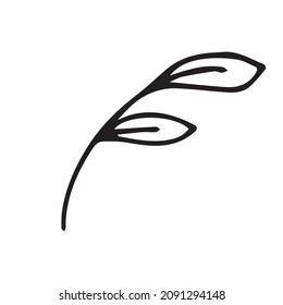 
vector illustration of a branch with leaves in doodle style