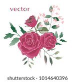 Vector illustration of branch with leaves and flowers. Botanical illustration. Arrangement of pink roses , wild flowers and wild herbs.