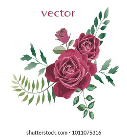 Vector illustration of branch with leaves and flowers. Botanical illustration. Arrangement of pink, purple roses , wild flowers and wild herbs.