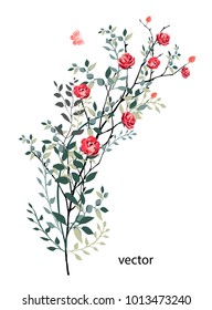 vector illustration of branch with leaves and flowers. Botanical illustration.Red rose.