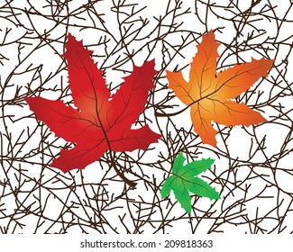 Vector Illustration of a Branch with maple leaves