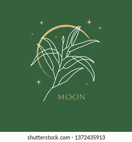 Vector Illustration. Branch on the moon. Botanical illustration.