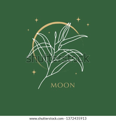 Vector Illustration. Branch on the moon. Botanical illustration.