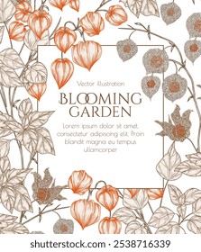 Vector illustration of a branch of physalis in engraving style