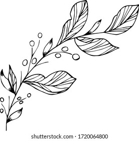 Ilustración vectorial de una rama de una planta con bayas, un elemento botánico en el estilo Doodle. Borde negro sobre un fondo blanco aislado. Se puede utilizar para libros, papel, tela, postales