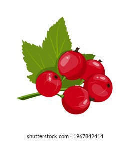 Vektorgrafik eines Zweiges von rotem Johannisbeere mit Blättern einzeln auf weißem Hintergrund. Ein Bild einer Beere, Nahaufnahme für ein Menü, Zutat, Etikett.