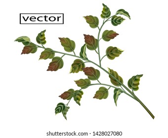 vector illustration of a branch of red orange and green leaves under the painting of a naturalistic 3D view