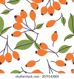 Vector illustration branch of rose hip with berries leaves. Seamless pattern with fruits of dogrose plant.