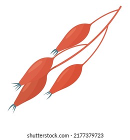 ilustración vectorial de la cadera de rama con bayas
