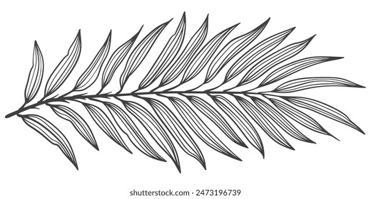 Vector illustration of a branch of a tree