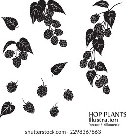 Vector illustration of branch of various hops