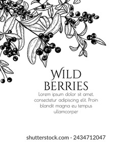 Vector illustration of a branch of wild berries in engraving style