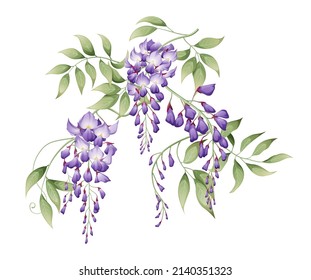 Vector illustration of a branch of wisteria with green leaves. Great for decorating cards, invitations, etc. svg
