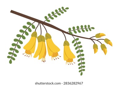 Vector illustration of a branch with yellow kowhai flowers and green leaves