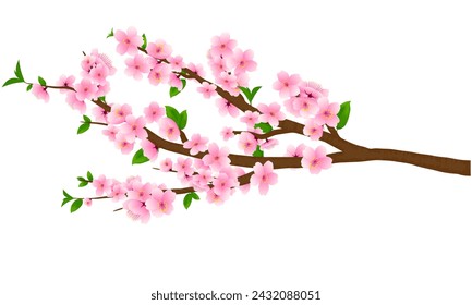 Vector illustration of branches with blooming peach blossoms