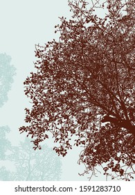 Vector illustration of branches of deciduous tree in autumn
