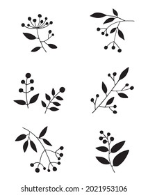 Vector illustration of branches with leaves and berries.