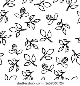 Vector illustration branches and leaves of plants. Contour style. Hand drawn vector illustration. Seamless pattern. 