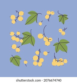 Zweige von weißen Johannisbeeren und grünen Blättern, Vektorgrafik