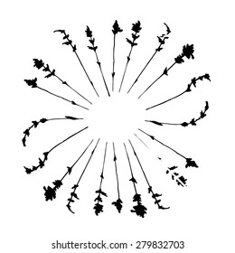 Vector illustration with branches for your design