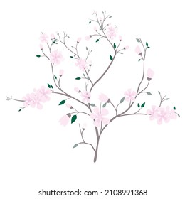 Vector illustration with branches,leaves and pink cherry flowers isolated on white blackground.Spring plant.Beautiful element for design garden cards,textile print,wrapping papers.
