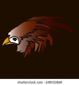 Vector illustration with  brawn eagle on black background.