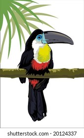 Vector illustration of brazil bird - toucan