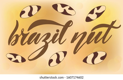 Vector illustration of Brazil Nut text for logotype, label, menu, restaurant, banner, magazine, poster, decoration. Brazil Nut calligraphy background. Brazil Nut lettering. EPS 10.  