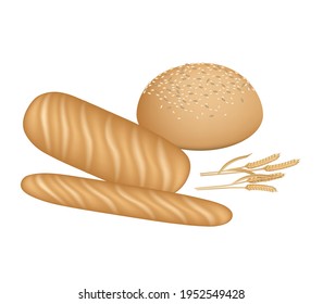 Vector illustration bread products grain pastries healthy food