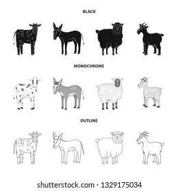Vector illustration of breeding and kitchen  icon. Set of breeding and organic  stock vector illustration.