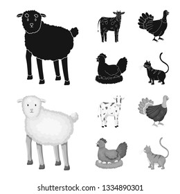 Vector illustration of breeding and kitchen  icon. Collection of breeding and organic  vector icon for stock.
