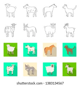 Vector illustration of breeding and kitchen  icon. Set of breeding and organic  stock vector illustration.